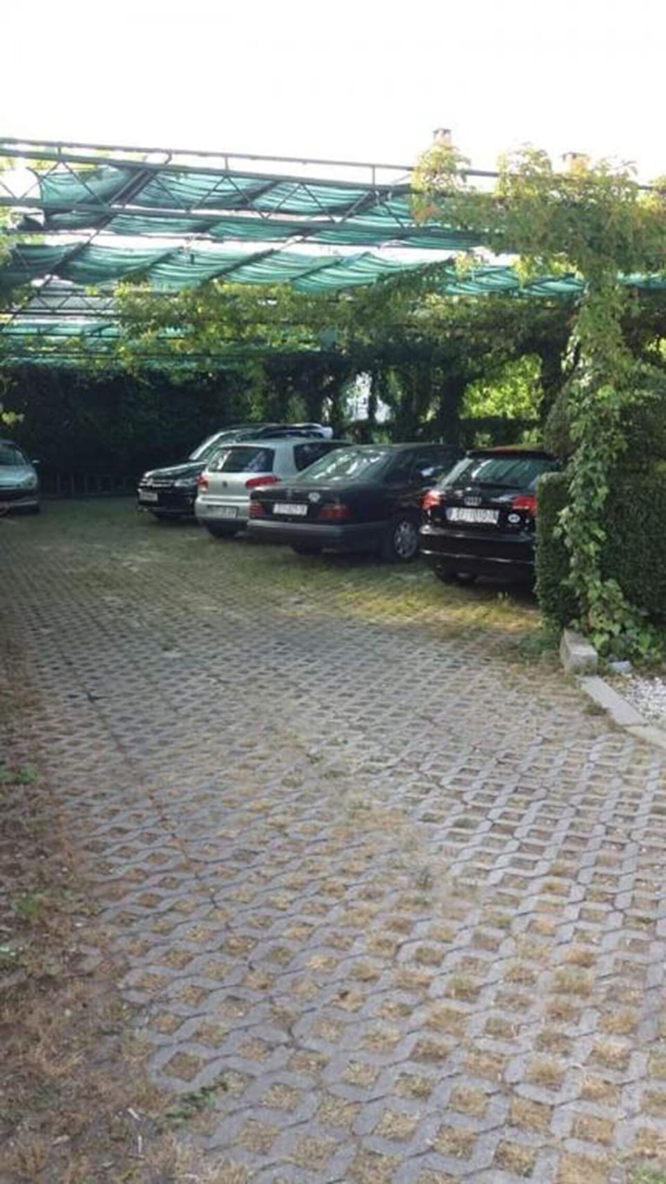 Property grounds