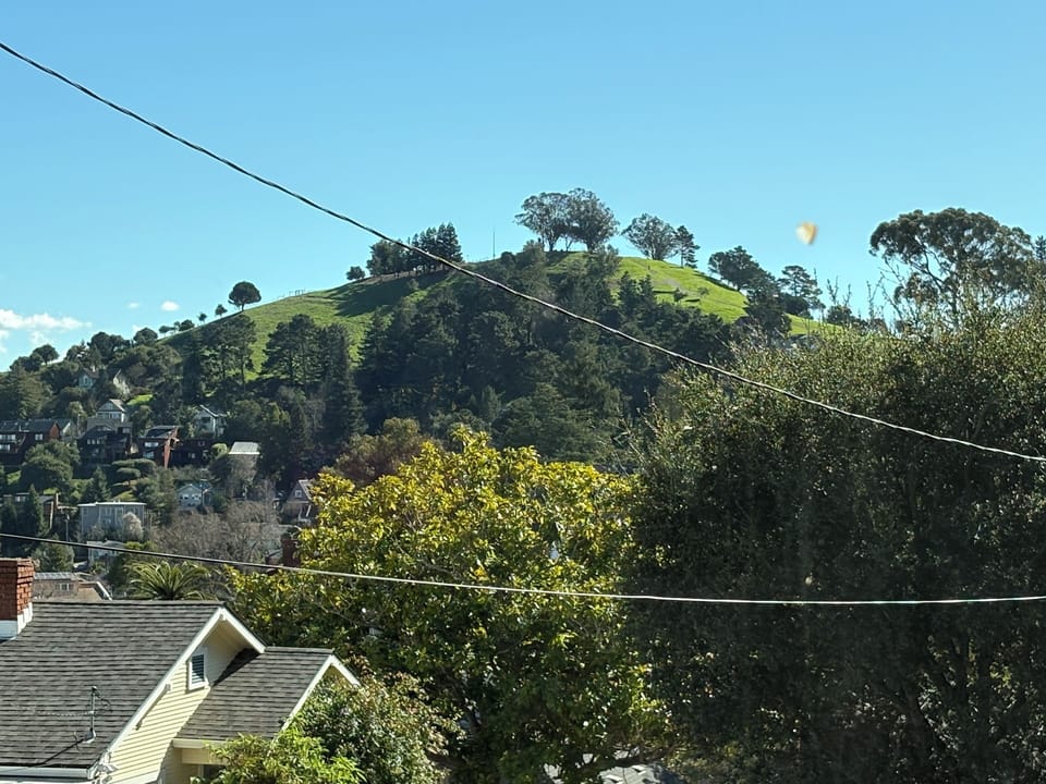 View of Nicholl Knob from living room