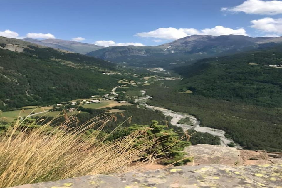 Region [summer] (>5 km)