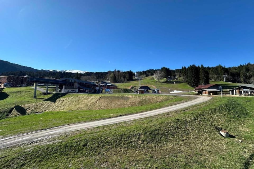 Region [summer] (>5 km)