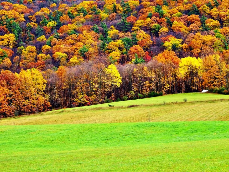 In Autumn mother nature paints her best canvas yet