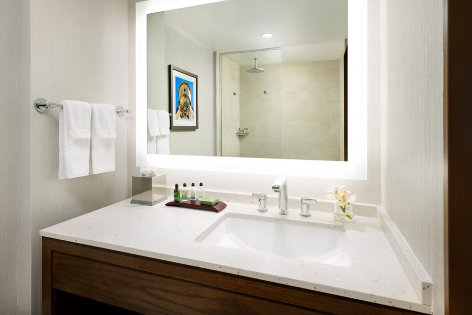 Refresh under a glass shower with spa-clean vanity lighting.