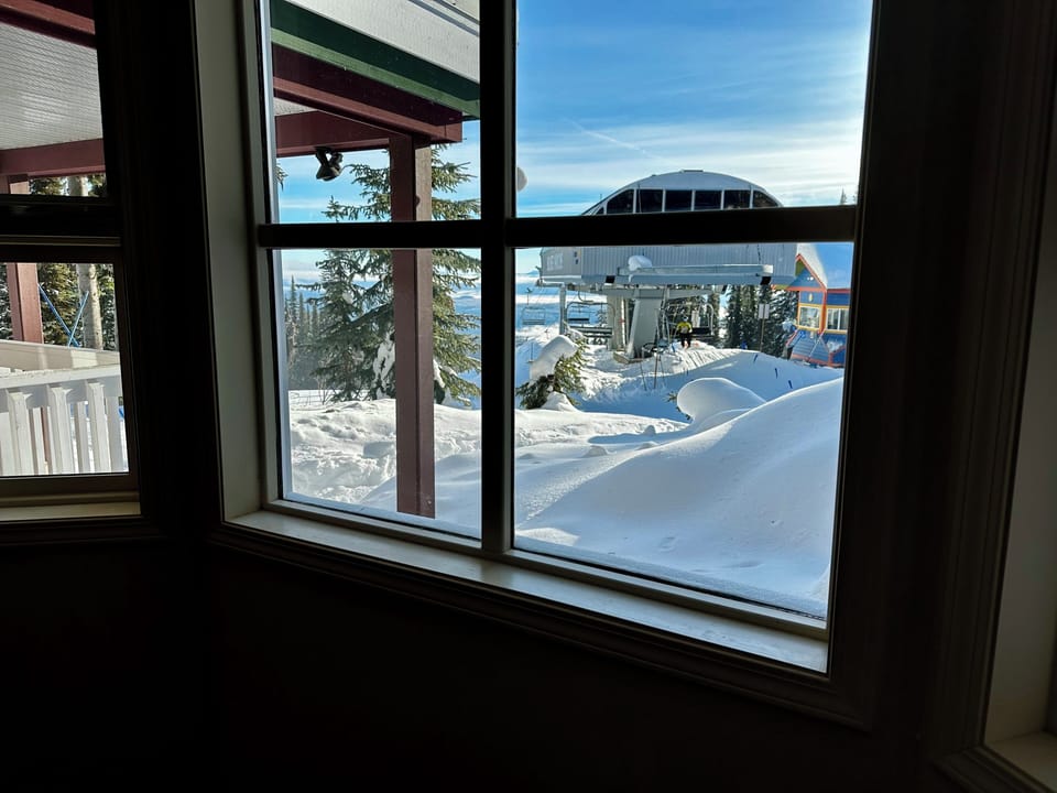 Living Room View of Silver Woods Chair 