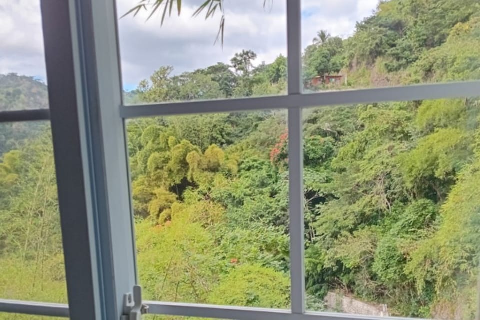 View From Window