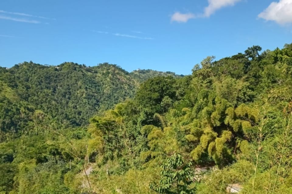 View From Balcony