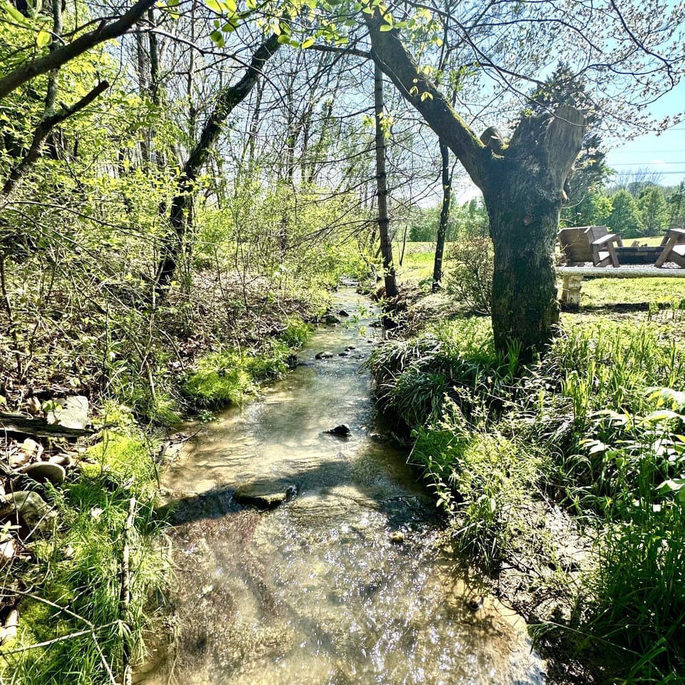 A charming creek flows beside the fire pit. A perfect place to unwind. 