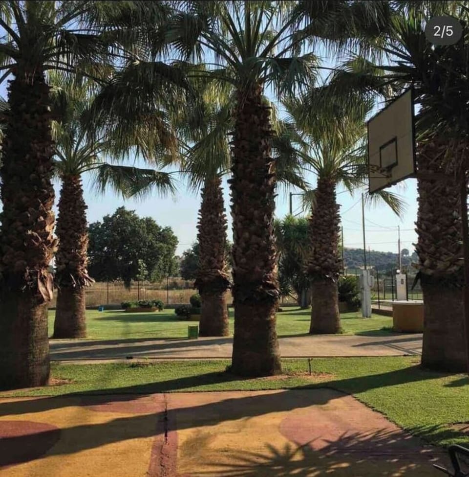 Sport court