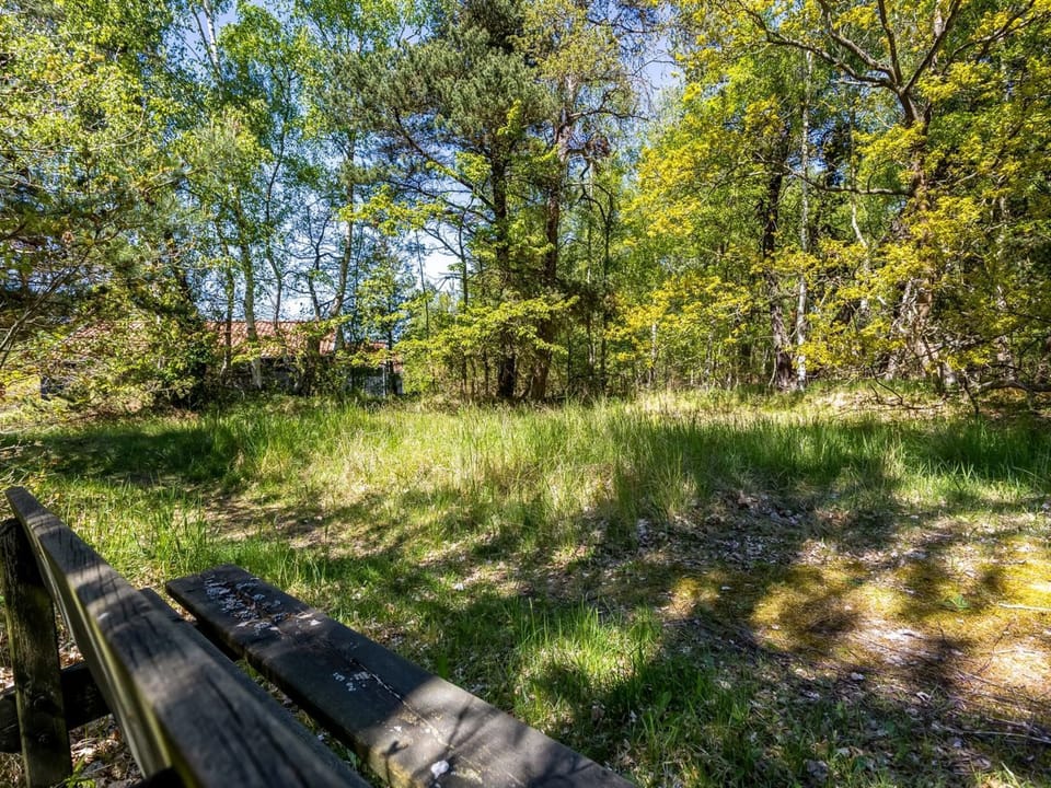 Place