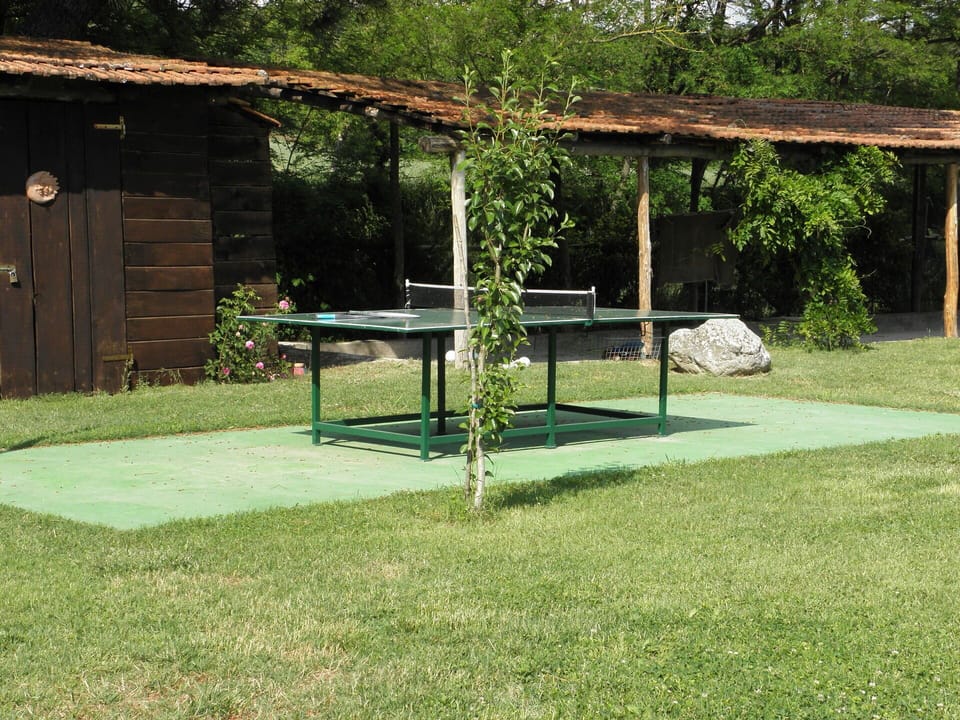 Activities, Autumn, Garden, Spring, Summer, Winter