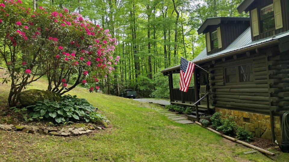 Rhododendron overlooking the front porch.