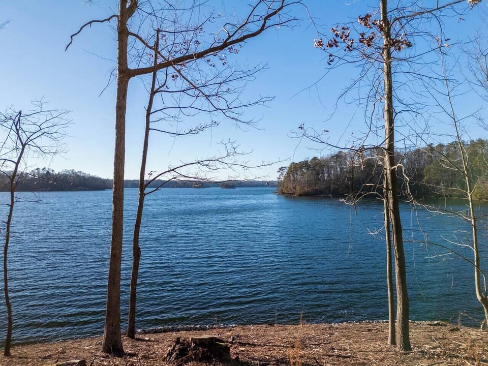 Lake (5)