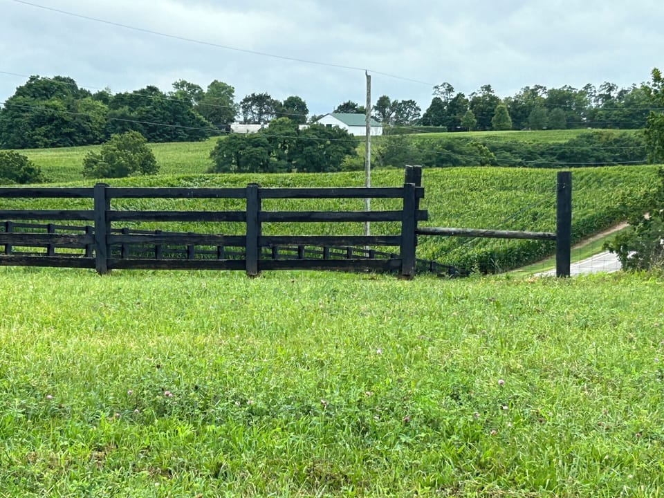 Views of the farm