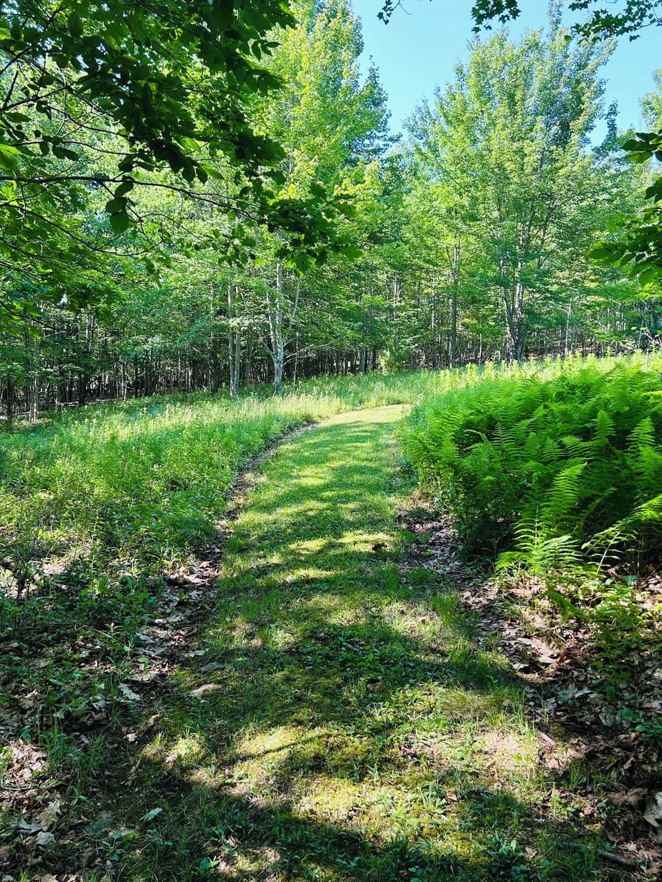 Manicured walking paths throughout the property