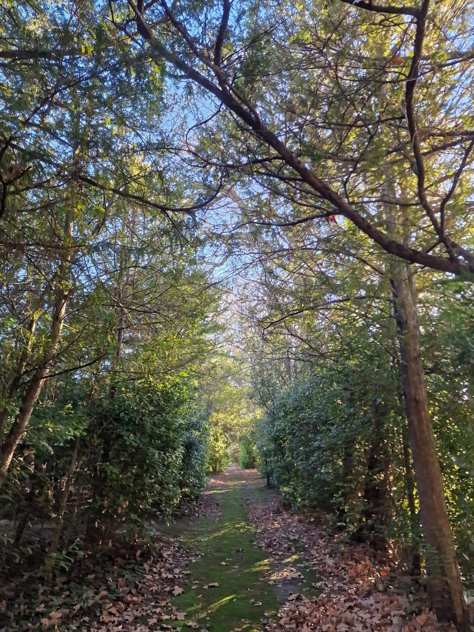 Chemin