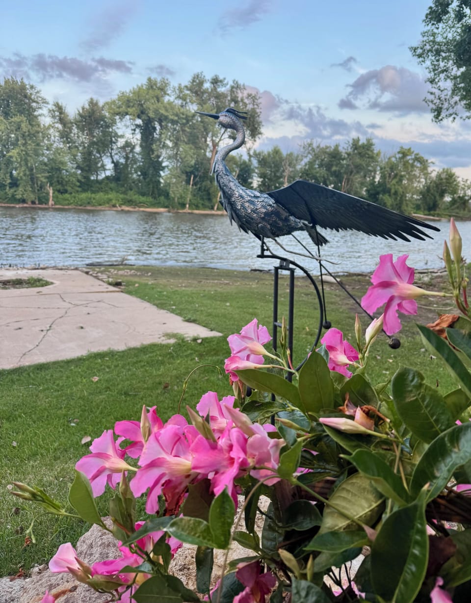 Lower patio view of the river