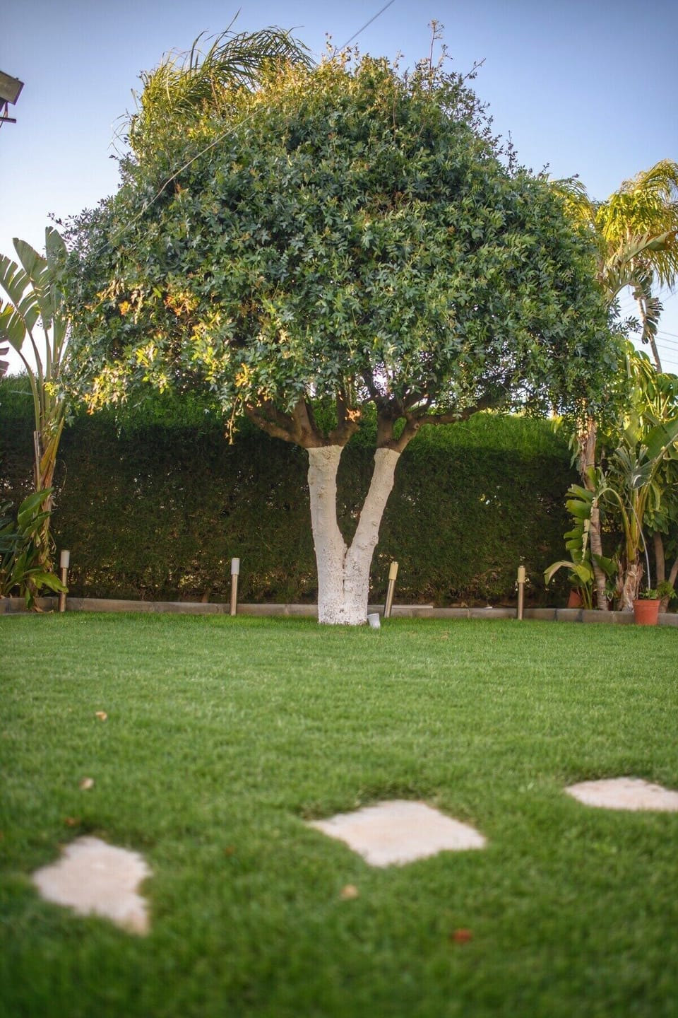 Property grounds