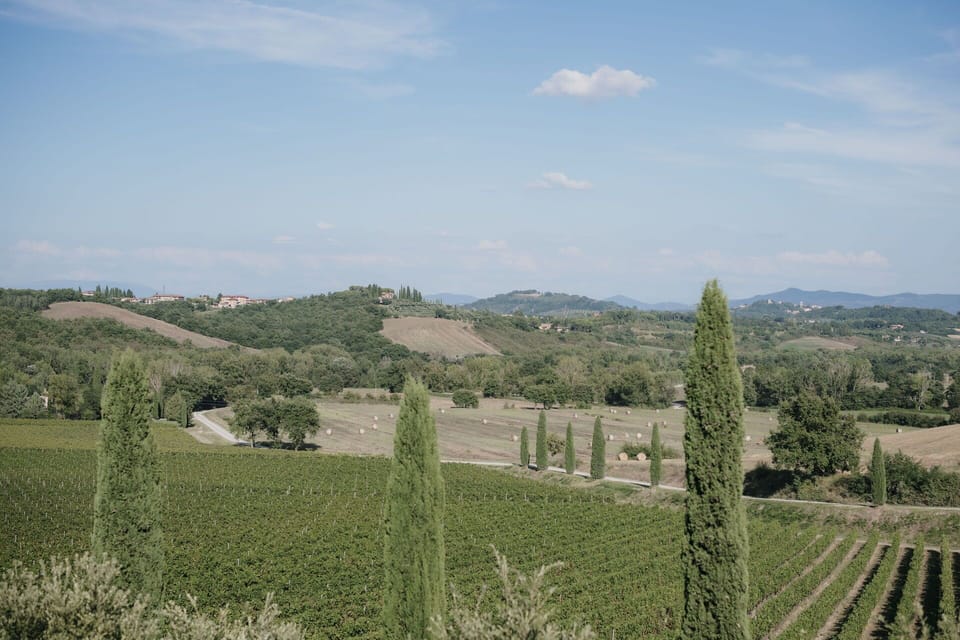 Activities, Balcony / Terrace / Patio, Building Exterior, City, Facilities, Garden, Kitchen, Pool, Spring, Summer, Wellness