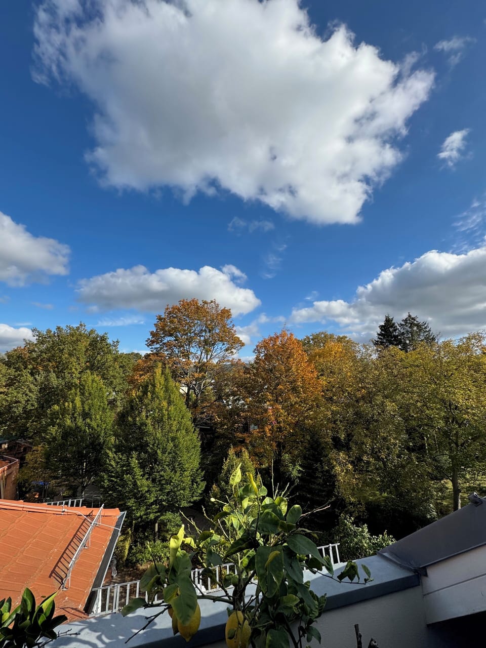 View from property