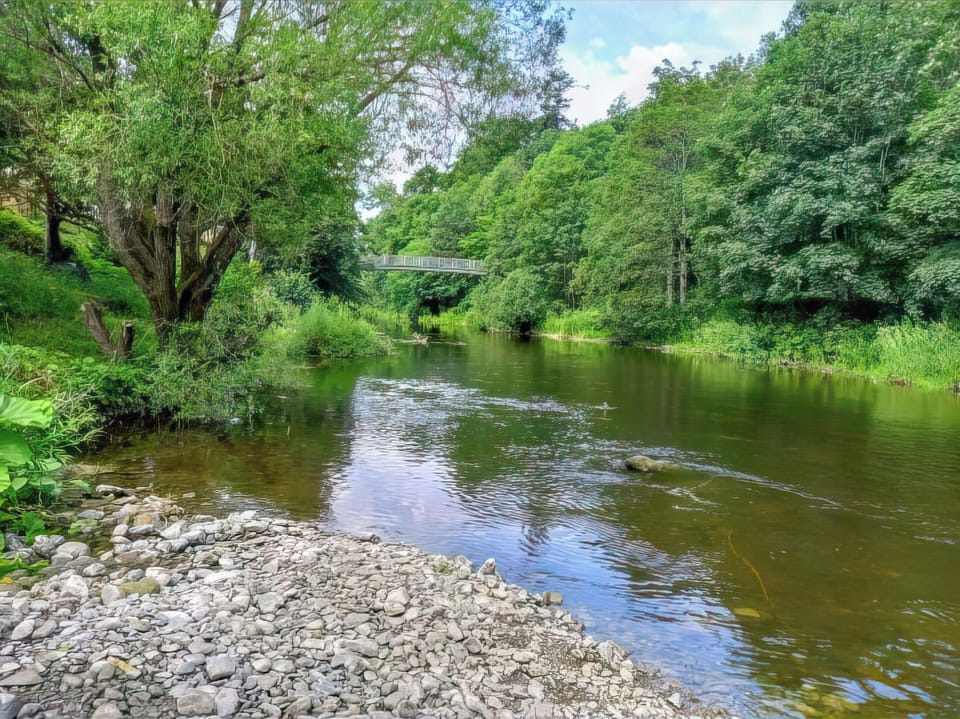 Surrounding area | The Hive, Hawick