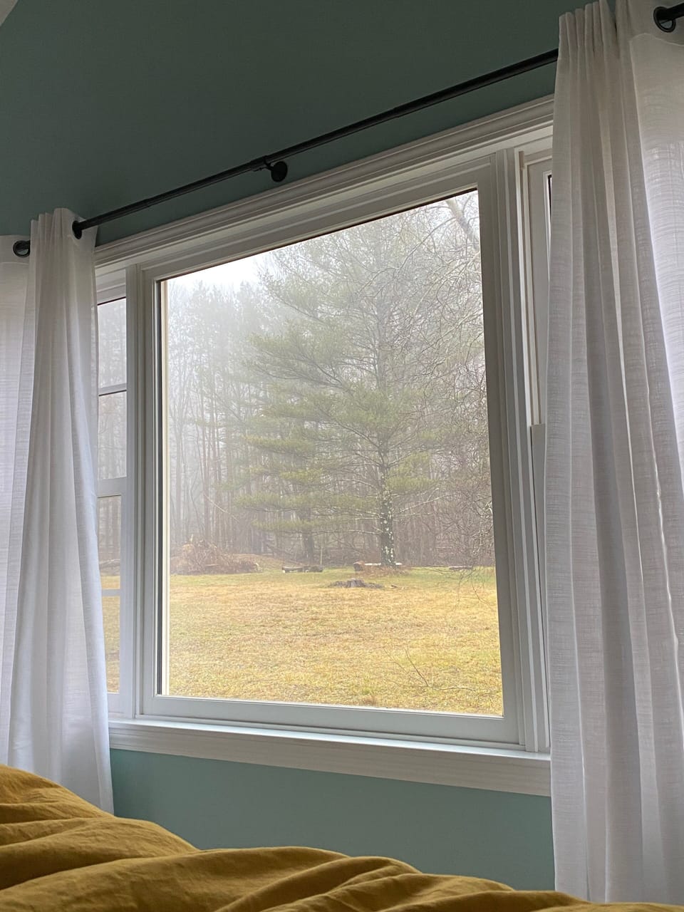 View from Master King Bed