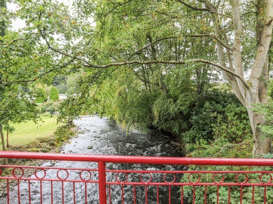 Image 29