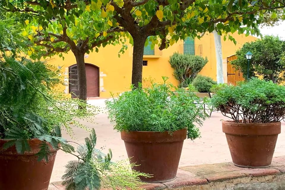 Patio / Balcony