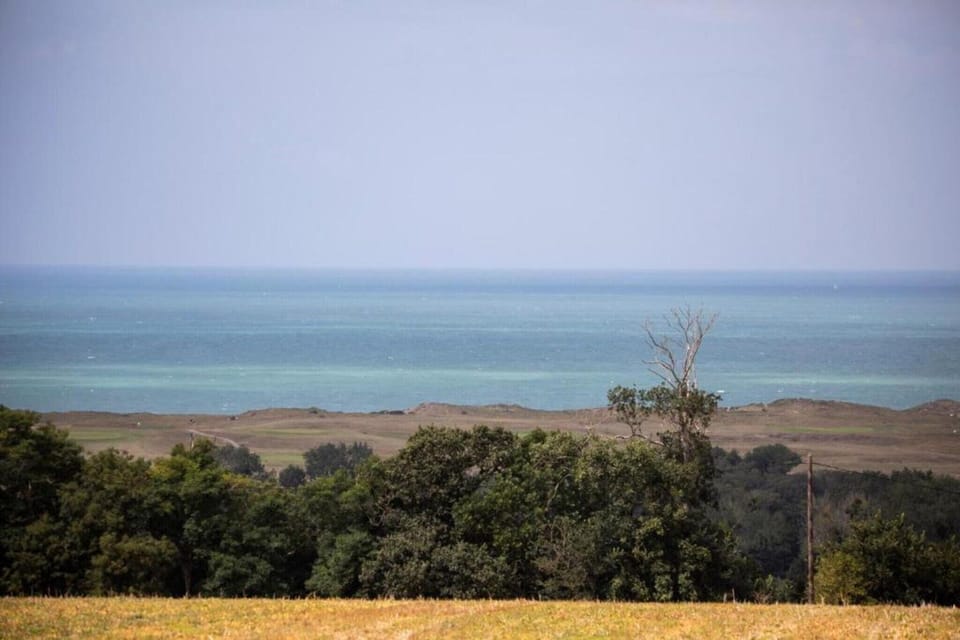 Region [summer] (>5 km)