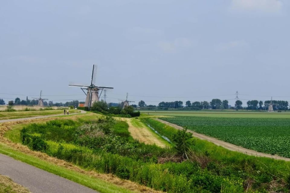 Region [summer] (>5 km)