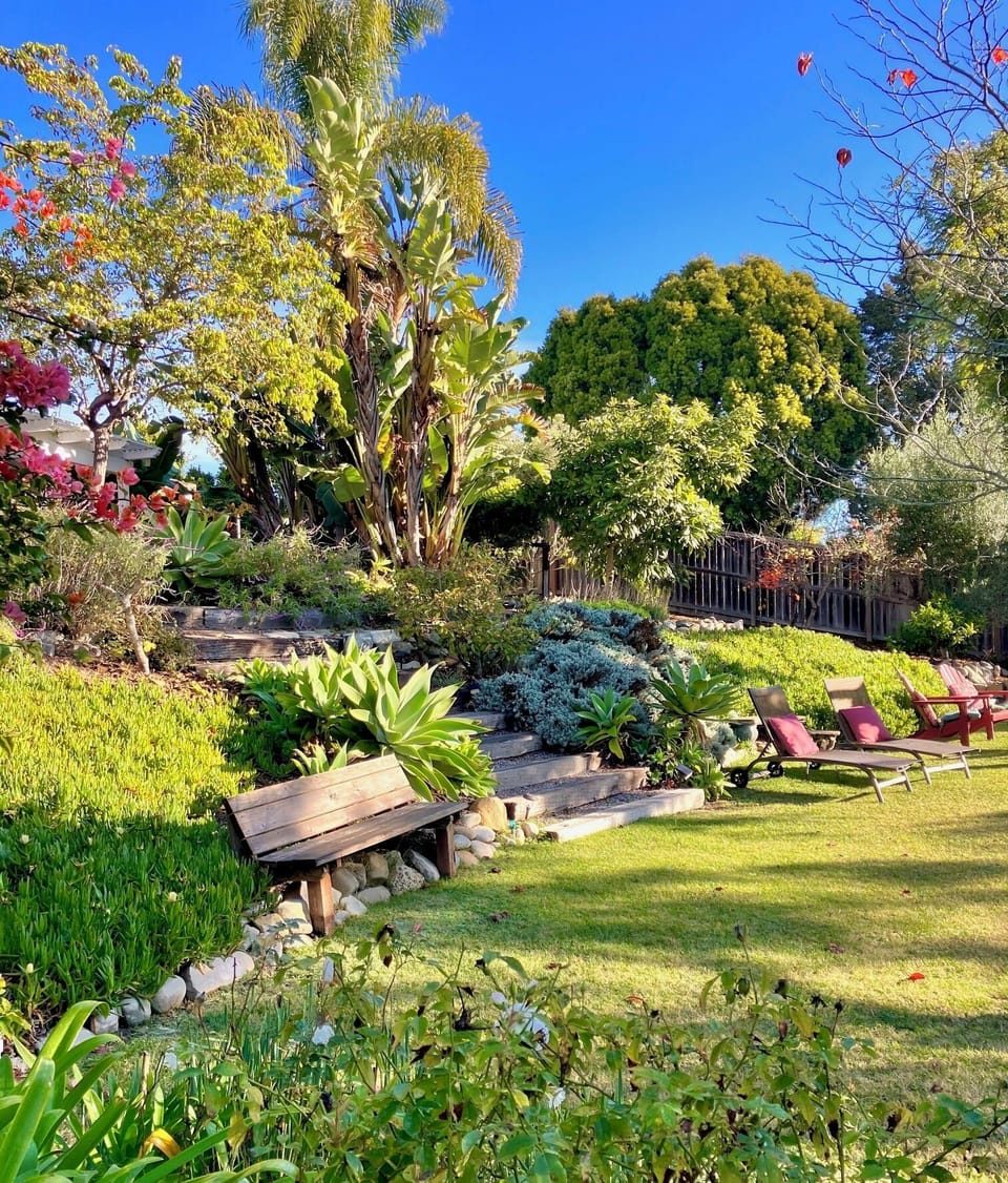Back yard