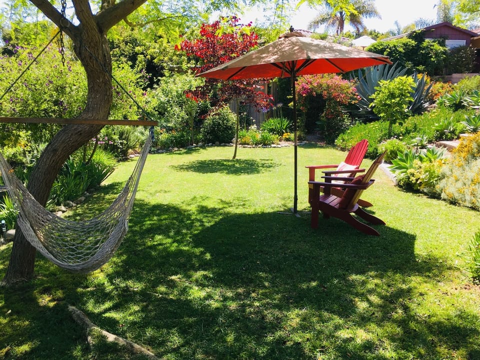 Back yard