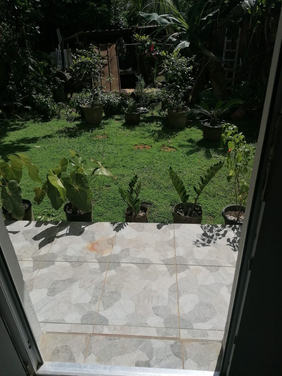 Property grounds