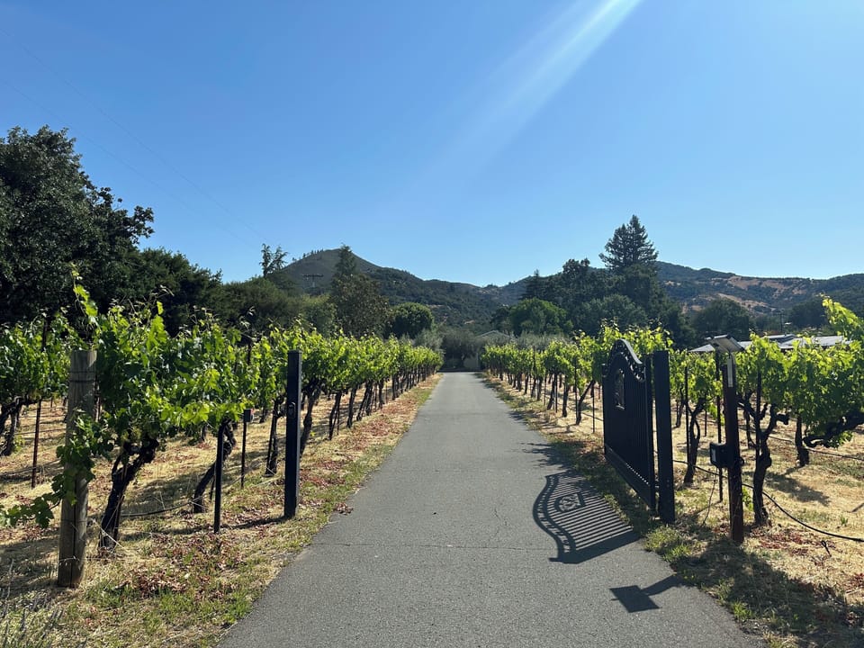 Gated entrance leads through a private vineyard toward the house. 