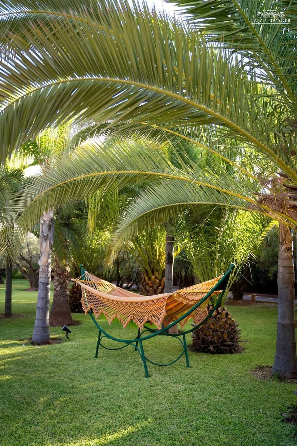 Garden, Outdoor furniture, Natural landspace