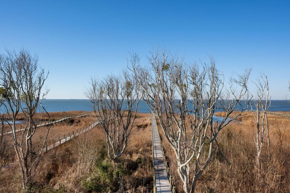 Scenic overlook of natural marshland offering quiet moments & coastal breezes