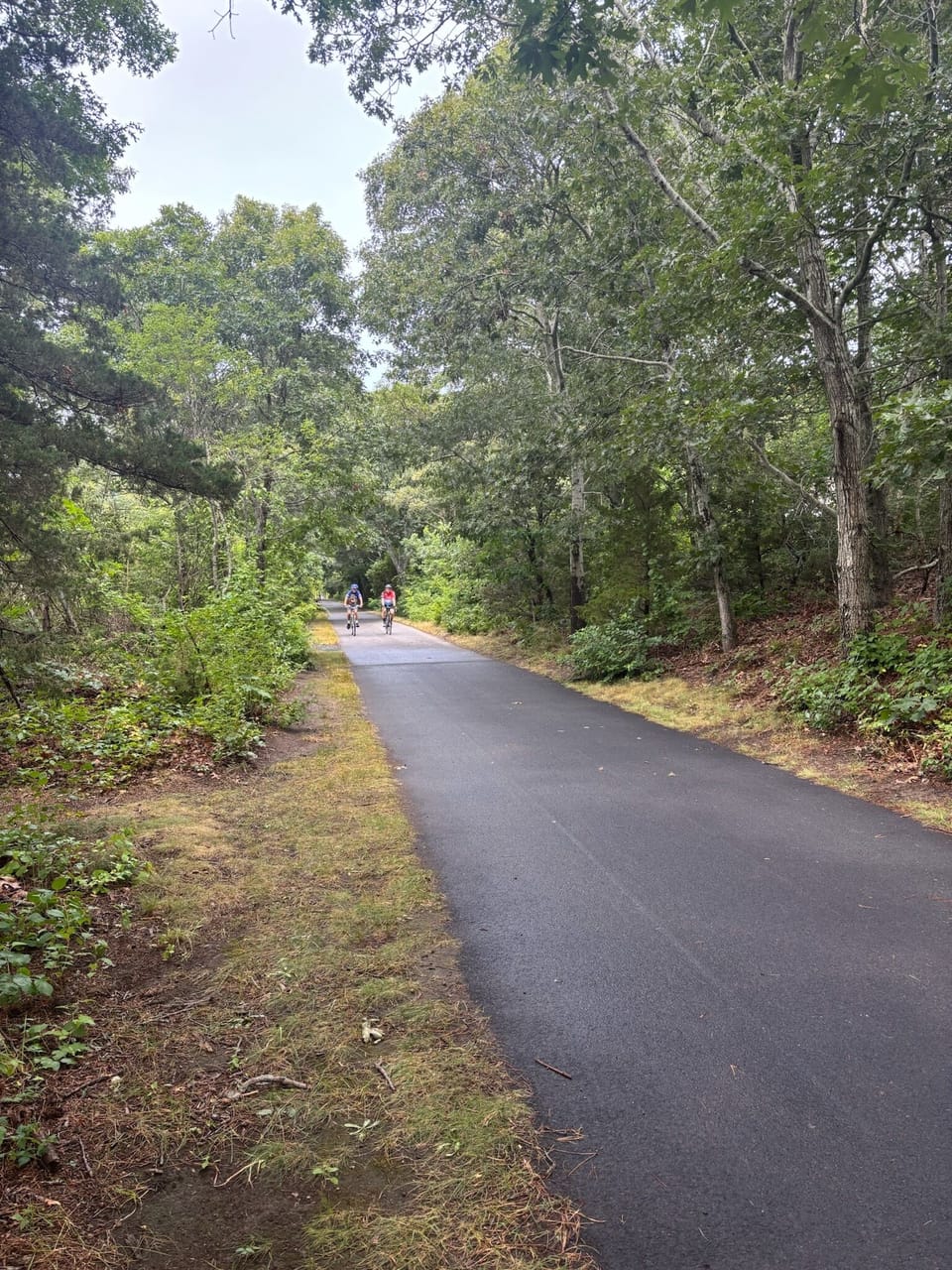Cape Cod Rail Trail Bike path access from the property