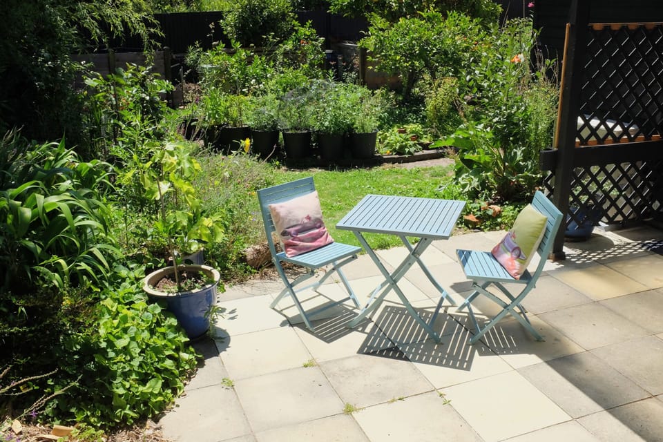 Back Garden Patio