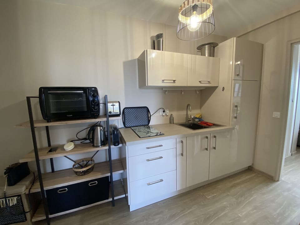 Small modern kitchen, fully equipped with all necessary amenities: microwave, fridge, toaster, etc