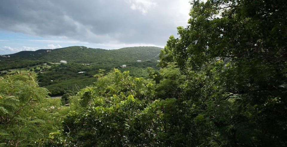 Views of scenery