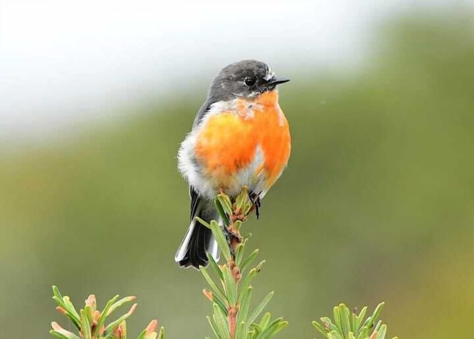 B919dce0 08af 400d 88c7 bebebcf80aee