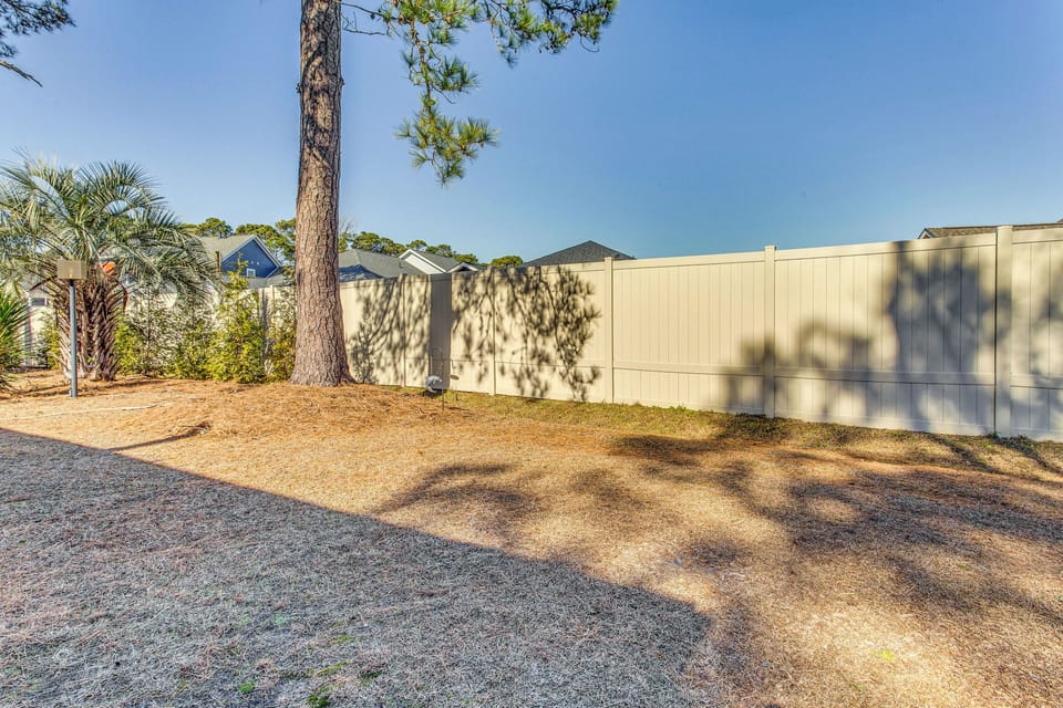 Shared Backyard