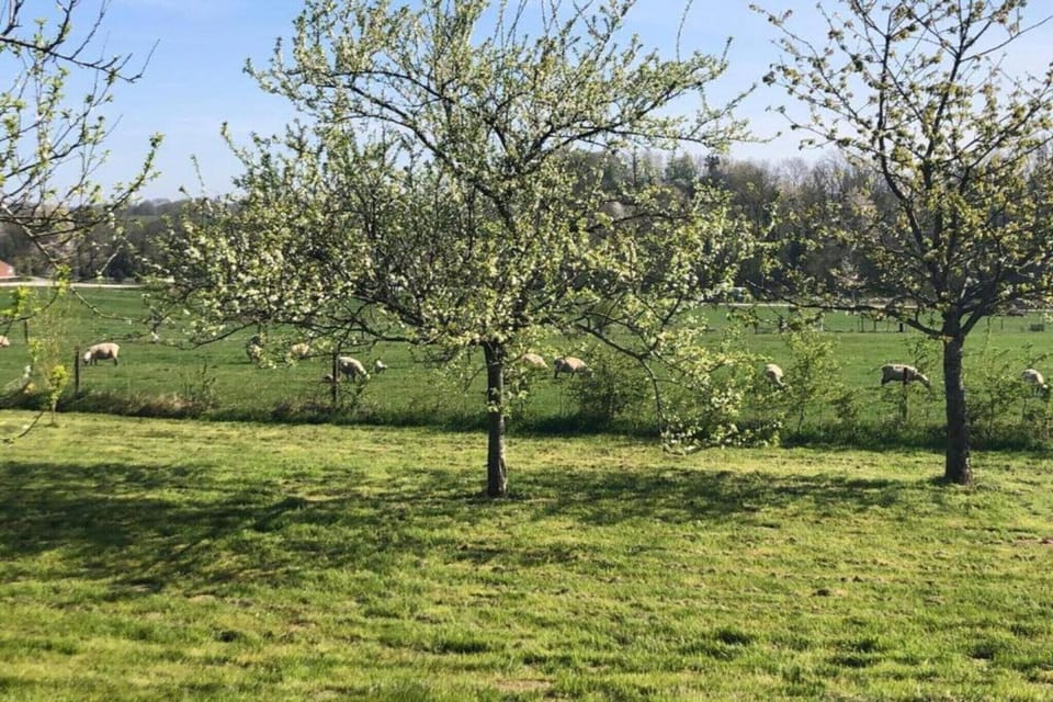 Surroundings [summer] (1-5 km)