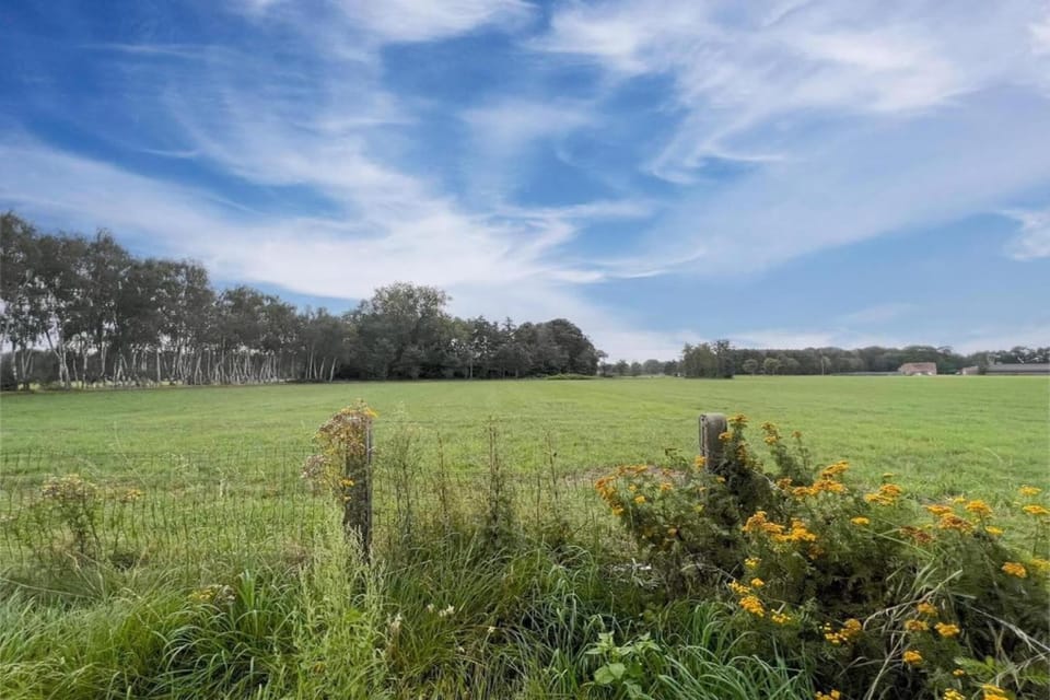 Region [summer] (>5 km)