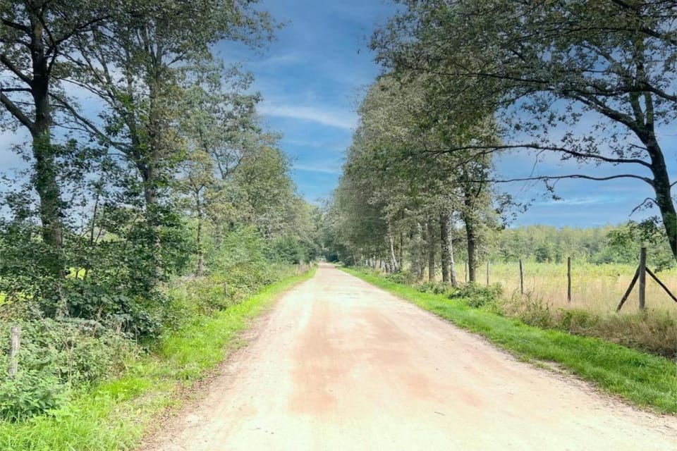 Region [summer] (>5 km)