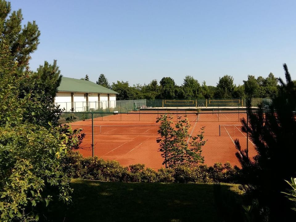 Sport court