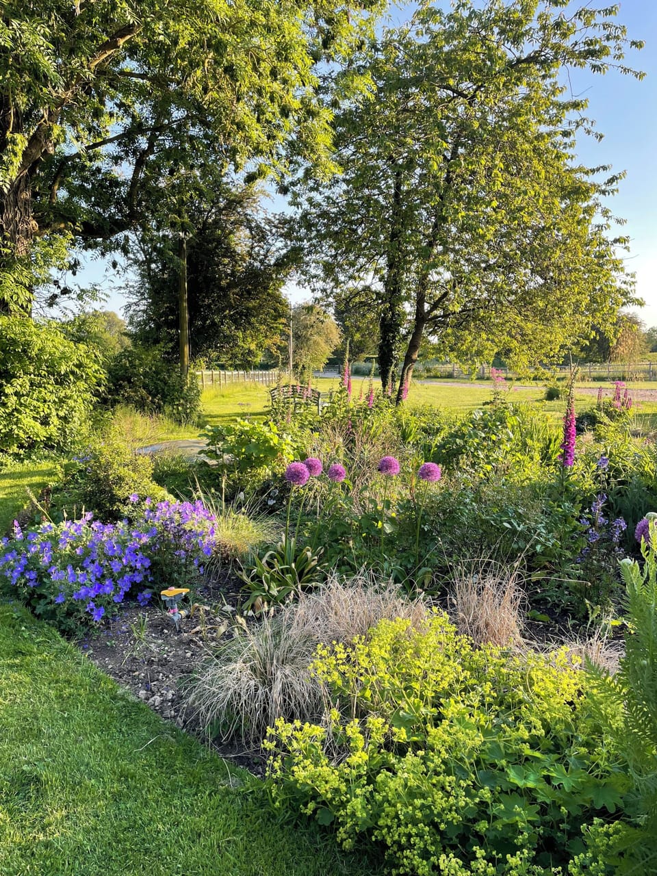 Landscaped gardens adjoining fields
