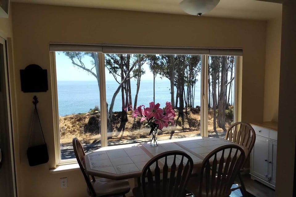 View from the dining room