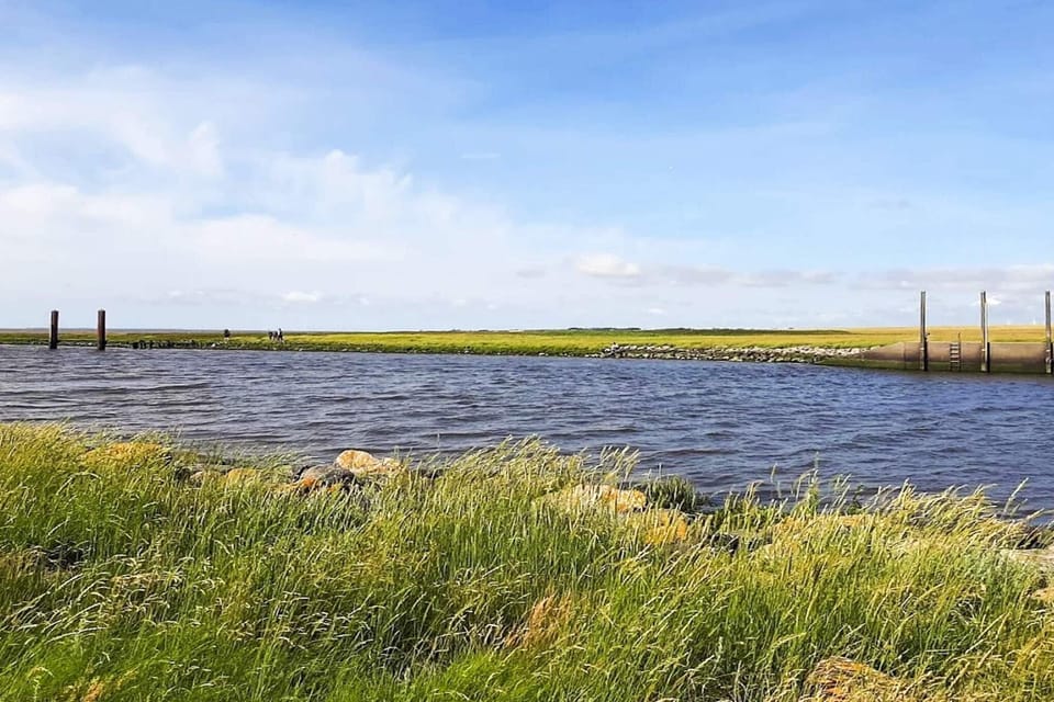 Water view