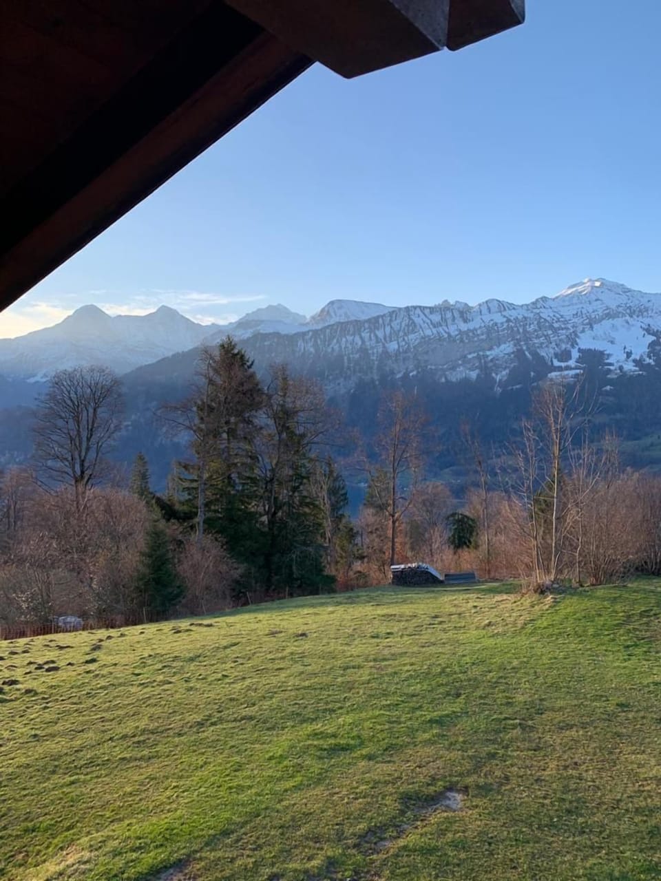 View from property