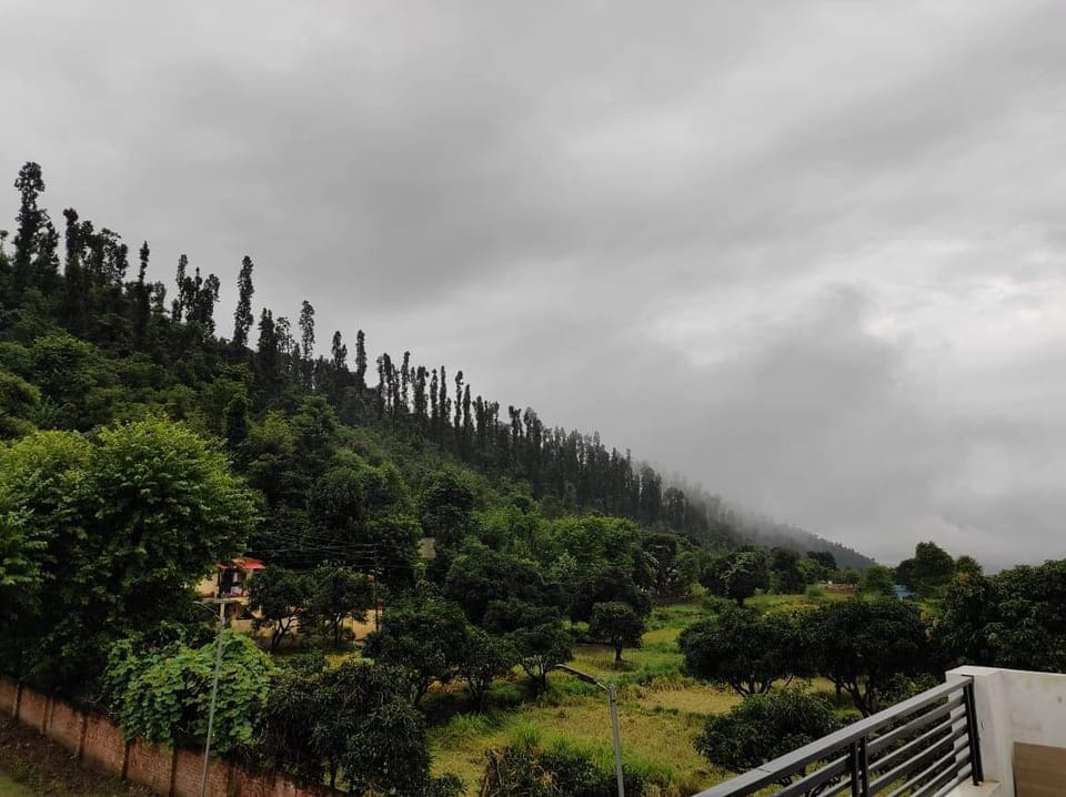 View from property