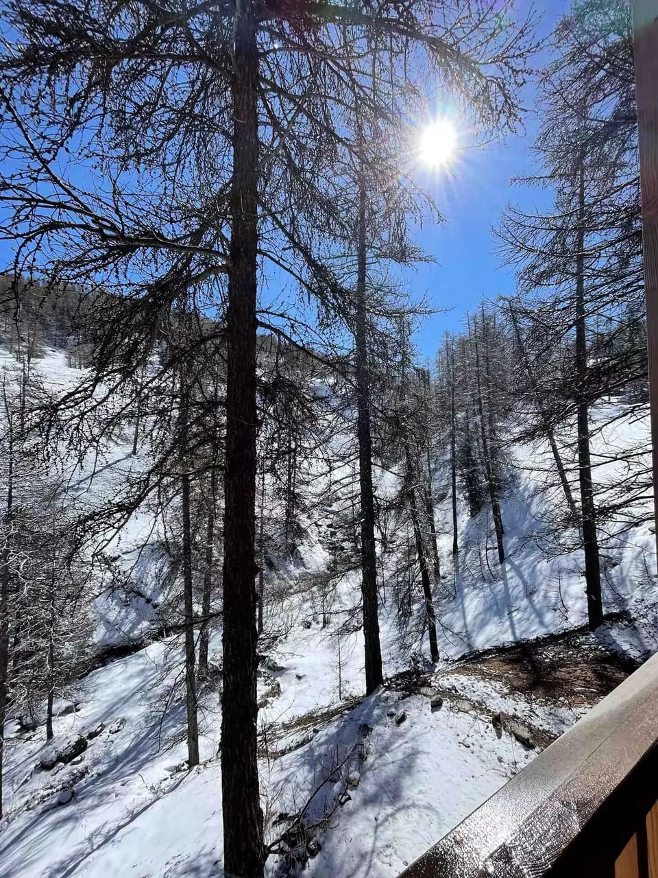 View from property